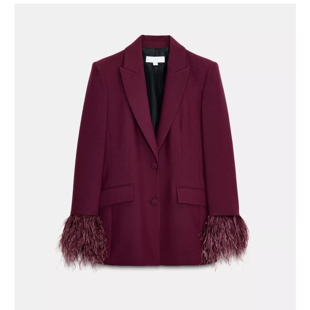 Zara Burgundy Blazer with Feather Cuffs